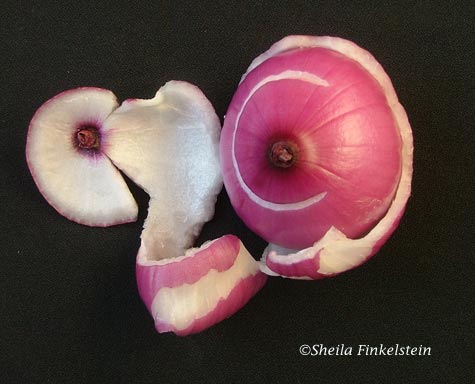 Humorous view of red onion peel