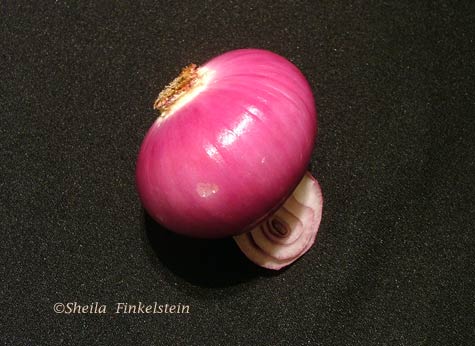 peeling away onion layer - day 5