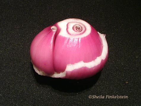 two sections of red onion now revealed