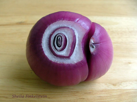 red onion with two sections held together viewing the remaining layers