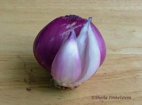 Red onion peeling away layers 2 and layer 8