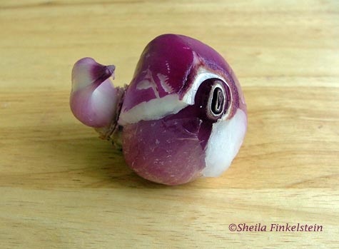 a humorous view of red onion querying our seriousness