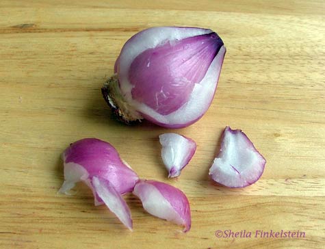 red onion peeling away layer 9