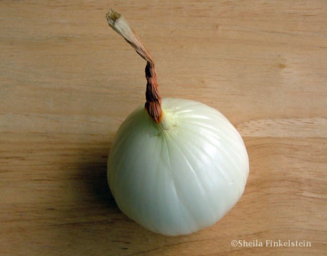 Vidalia onion and stem stand along